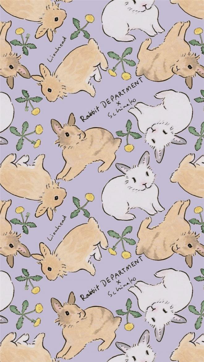 卡通动物兔子手机壁纸 -卡通高清手机壁纸(3)