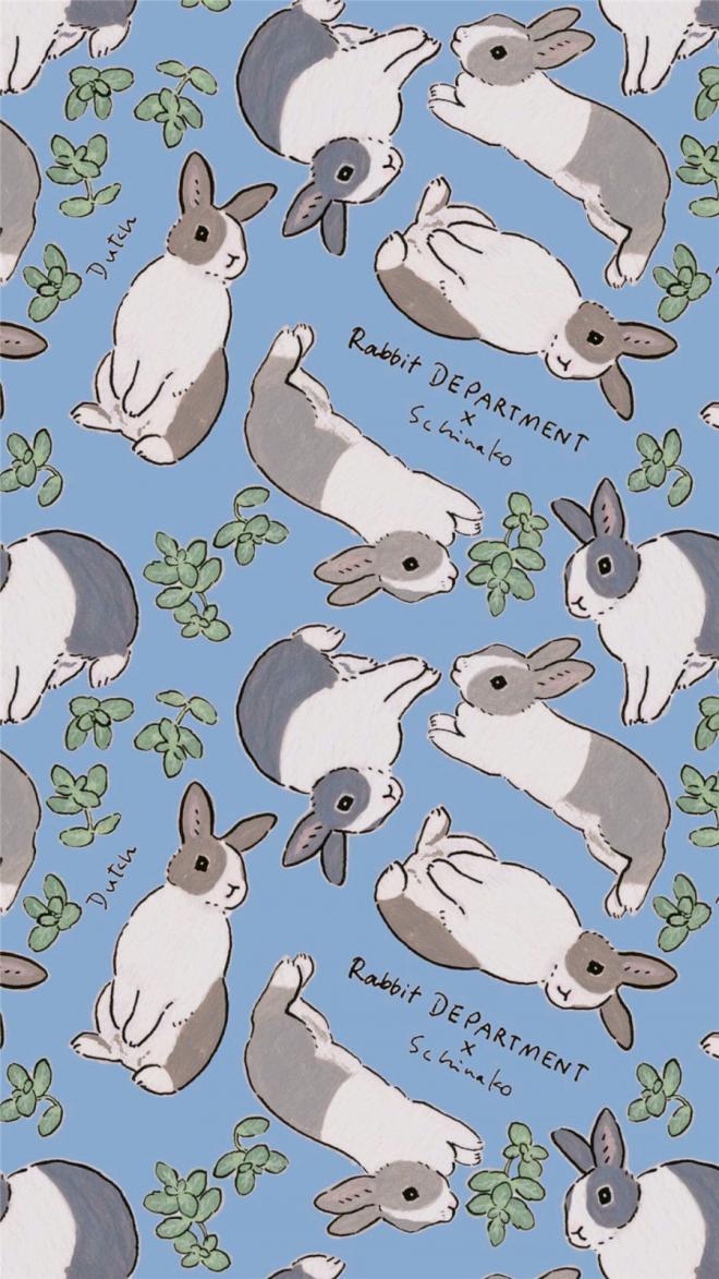 卡通动物兔子手机壁纸 -卡通高清手机壁纸(2)