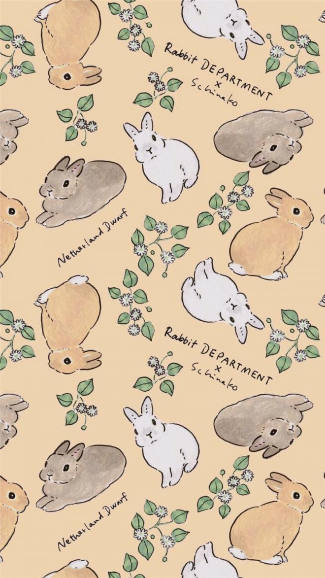 卡通动物兔子手机壁纸 -卡通高清手机壁纸(4)