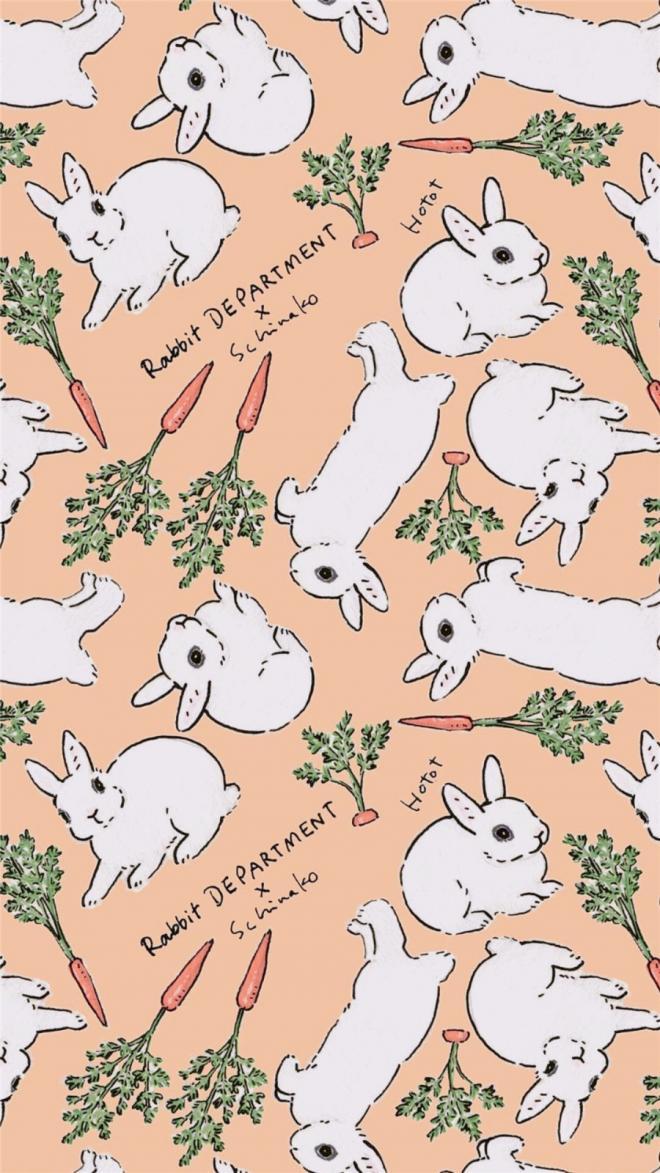 卡通动物兔子手机壁纸 -卡通高清手机壁纸(5)