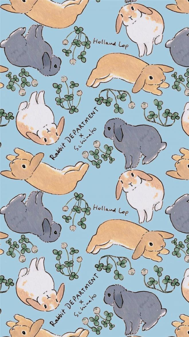 卡通动物兔子手机壁纸 -卡通高清手机壁纸(7)