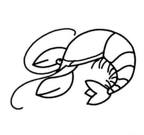 小龙虾简笔画卡通-小龙虾简笔画-小龙虾图片