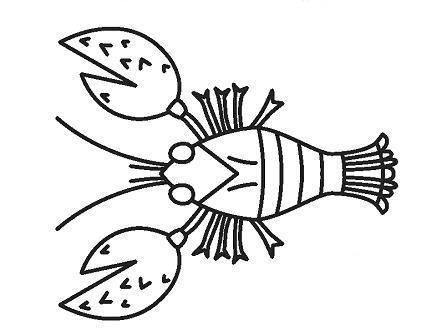 小龙虾简笔画卡通-小龙虾简笔画-小龙虾图片(2)
