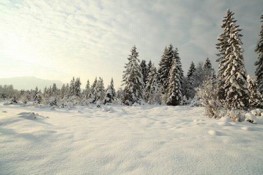 关于下雪的唯美高清图片(7)