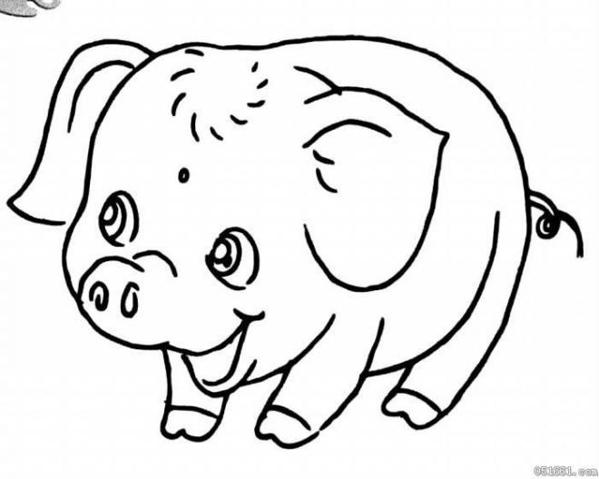 超级可爱卡通猪简笔画(3)