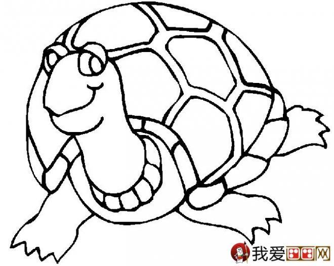 活泼可爱的乌龟简笔画图片大全(2)
