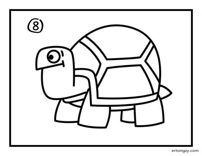 小乌龟简笔画画法 小乌龟简笔画图片(7)