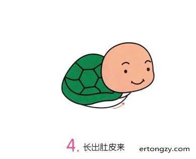 彩色可爱小乌龟简笔画步骤图片(4)