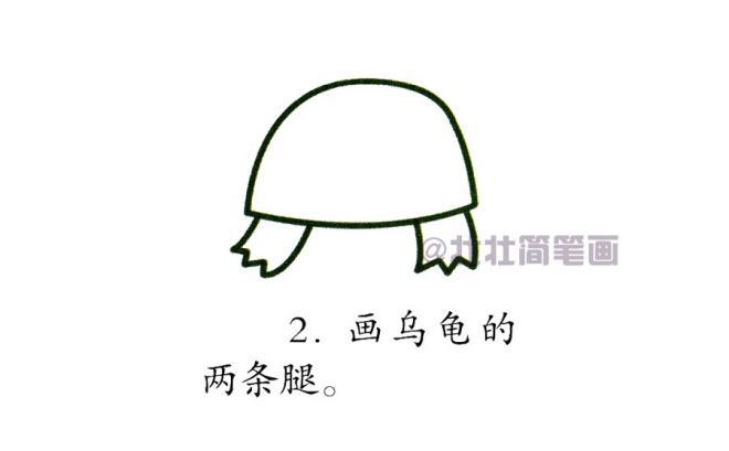 乌龟简笔画图片 彩色分步大全画法图片(2)