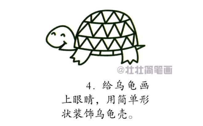 乌龟简笔画图片 彩色分步大全画法图片(3)