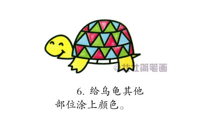 乌龟简笔画图片 彩色分步大全画法图片(4)
