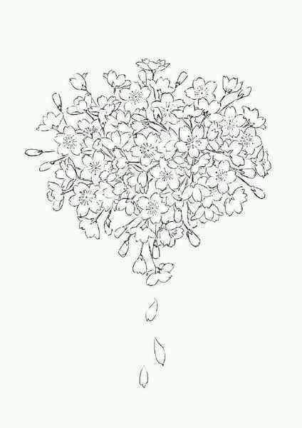 手绘开满花的樱花树简笔画图片(2)