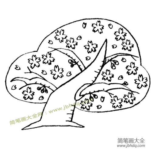 盛开的手绘樱花树简笔画教程图片(3)