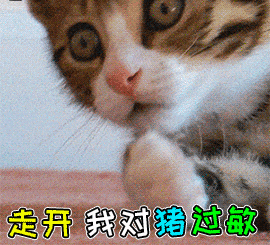 可爱猫咪表情包图片_最有趣的小猫咪(3)