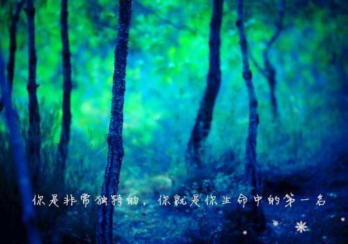 迷雾森林唯美文字图片_超梦幻自然美景(3)
