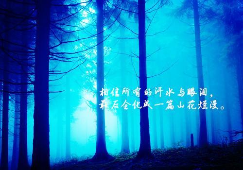 迷雾森林唯美文字图片_超梦幻自然美景(8)