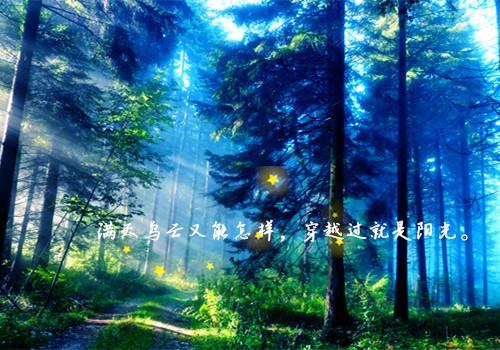 迷雾森林唯美文字图片_超梦幻自然美景(7)
