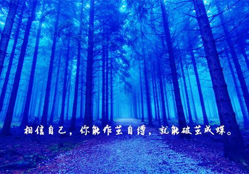 迷雾森林唯美文字图片_超梦幻自然美景(6)