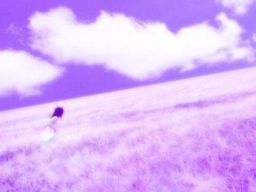 迷人梦幻紫色个性唯美意境图片_我有一个紫色的梦(5)