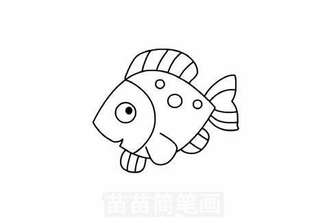 卡通动物热带鱼简笔画图片大全、教程(7)