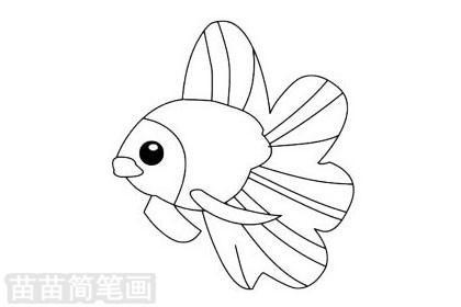 卡通动物热带鱼简笔画图片大全、教程(8)