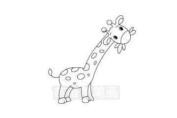 卡通动物长颈鹿简笔画教程图片(7)