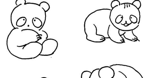简单的狗熊简笔画(5)