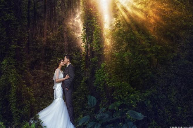 唯美森林系的婚纱照图片(3)