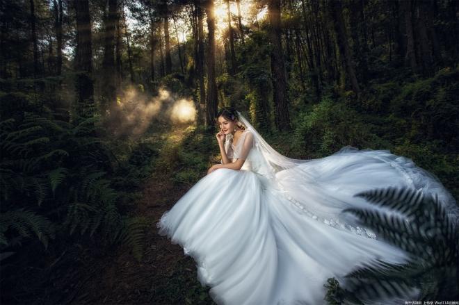 唯美森林系的婚纱照图片(8)