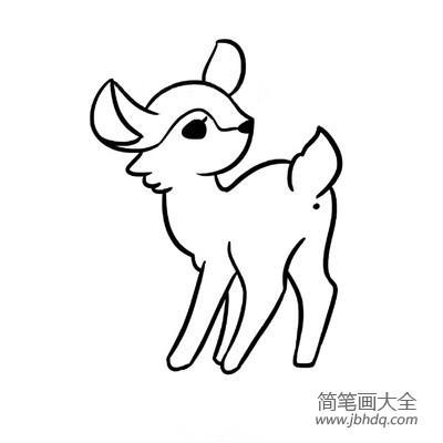 可爱小鹿简笔画教程图片大全(8)