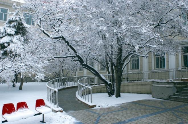 东北哈尔滨冬天风景图片(8)
