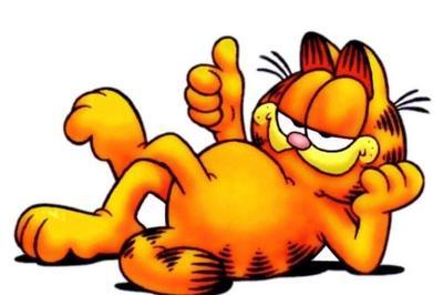 卡通又可爱的加菲猫图片