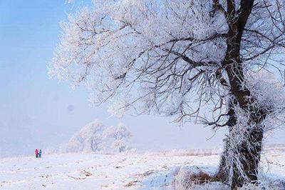 大自然雪景图片