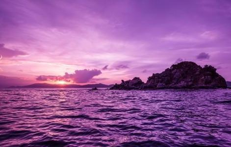 紫色风景唯美图片