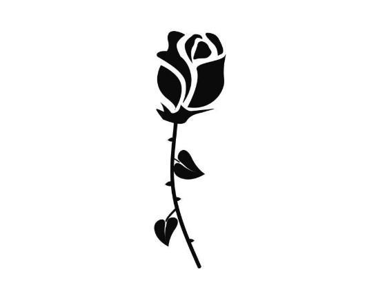 黑白玫瑰花素描图片，你会离幸福越来越近