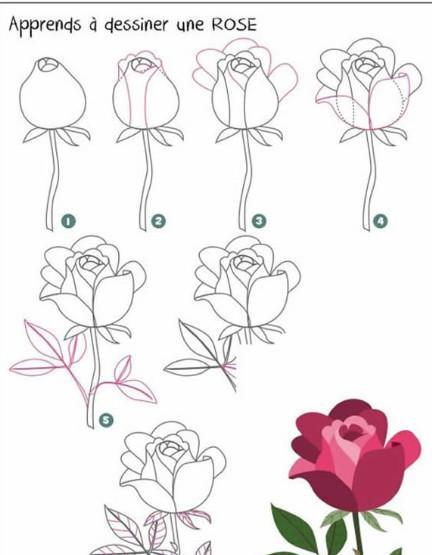 玫瑰花画法步骤加图片，命是一个反复循环的过程就像春夏秋冬永不停歇