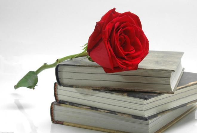 玫瑰花夹在书里的图片，无论有多少忘记的理由，总有一个坚持的借口