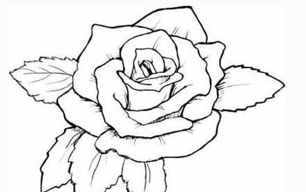 绘画玫瑰花简笔画图片，不要因为外人反对而放弃，幸福是靠自己内心来感受的