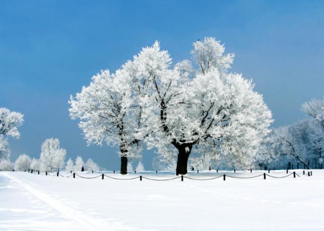 冬天的雪景图片名称 要如何才能够在不平坦的路上走的更稳
