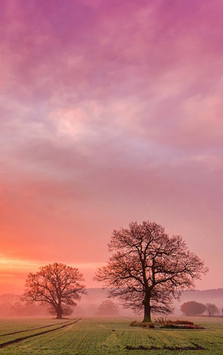 iPhone 6高清自然风景壁纸(2)