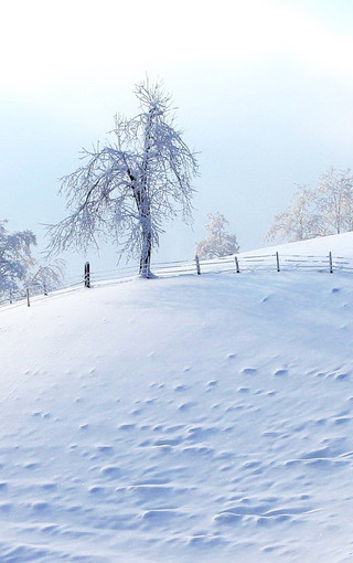 冬季风景iPhone 6 plus壁纸(3)