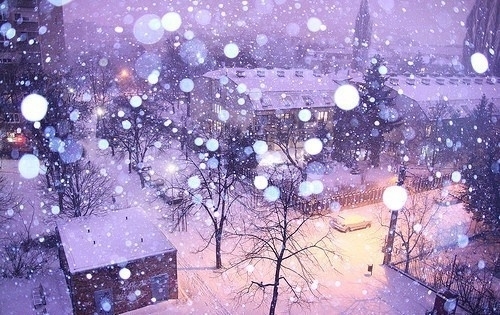 冬天的雪美景图片