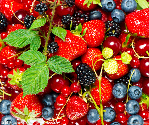 好吃的水果白草莓图片(4)