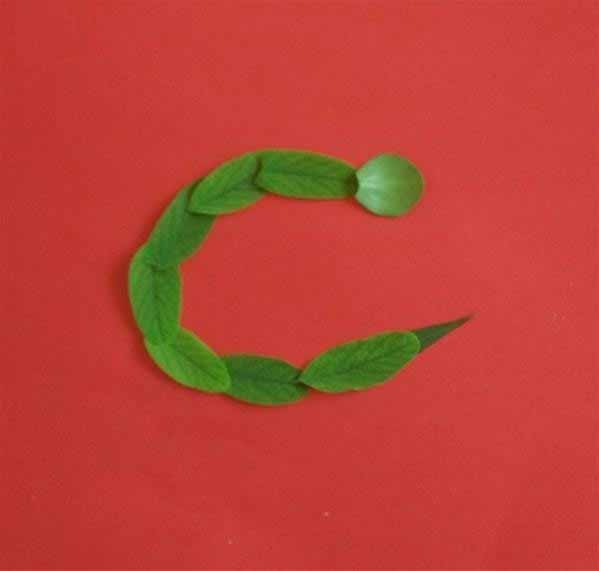 树叶贴画的制作方法 创意儿童手工DIY小蛇拼贴画教程(4)