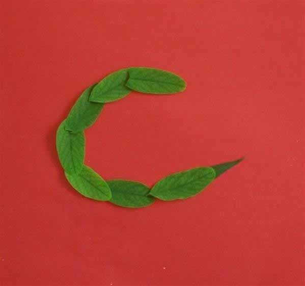 树叶贴画的制作方法 创意儿童手工DIY小蛇拼贴画教程(3)