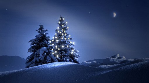 唯美圣诞雪图片(5)