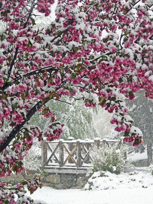 浪漫冬天雪景图片