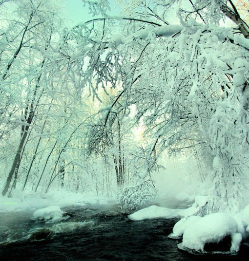 浪漫冬天雪景图片(2)