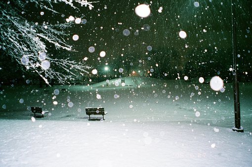 浪漫冬天雪景图片(4)