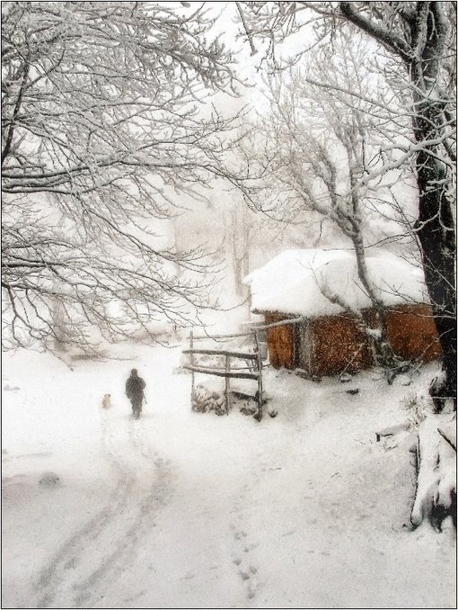 浪漫冬天雪景图片(3)